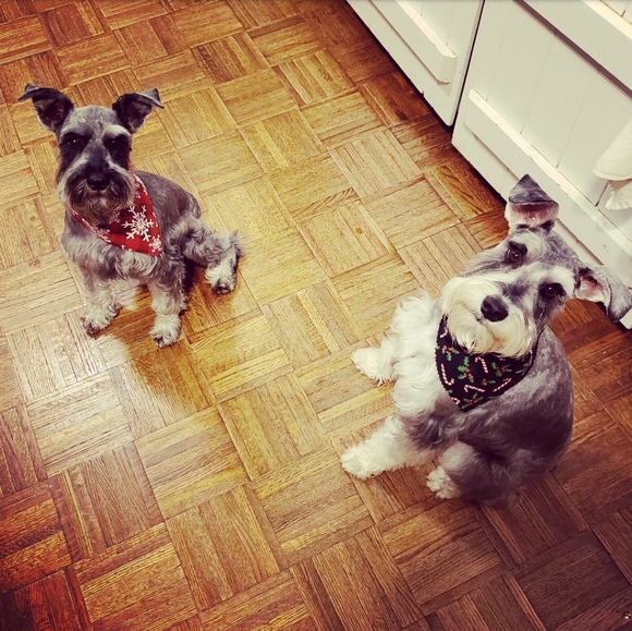 I ❤ VINTAGE - Picture 8 of 8